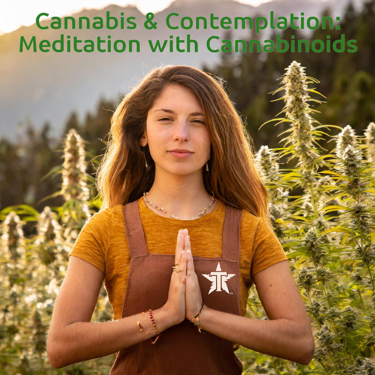 Cannabis and Contemplation: Enhancing Meditation with the Power of Can ...